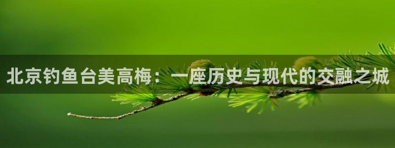 壹号app下载苹果：北京钓鱼台美高梅：一座历史与现代的交融之城