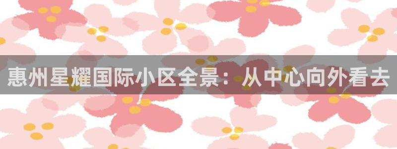 衢州发乐发商贸有限公司：惠州星耀国际小区全景：从中心向外看去