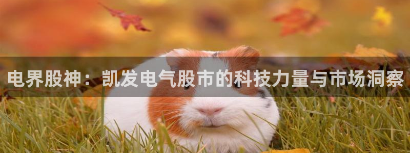 壹号大舞台官网：电界股神：凯发电气股市的科技力量与市场洞察