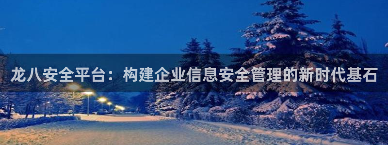 乐发ll500网站：龙八安全平台：构建企业信息安全管理的新时代基石
