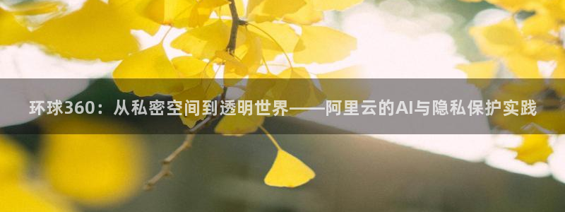 壹号平台娱乐：环球360：从私密空间到透明世界——阿里云的AI与隐私保护实践