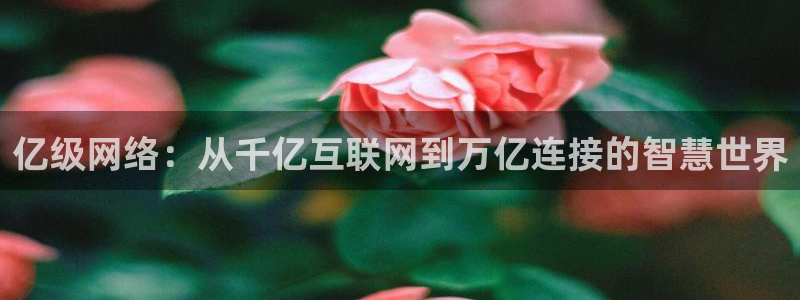 厂厂乐发布信息是真是假：亿级网络：从千亿互联网到万亿连接的智慧世界