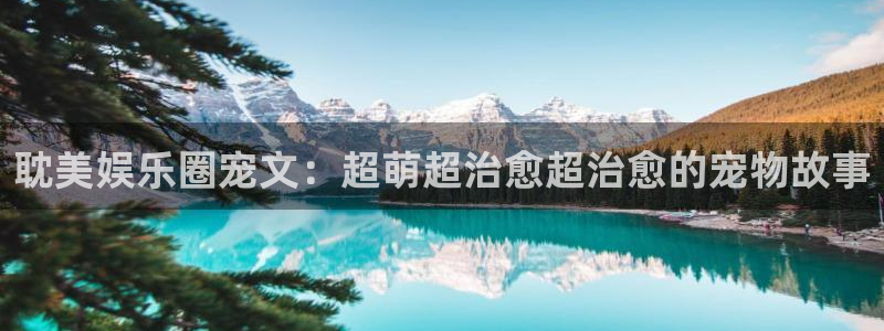 乐发ll500在线下载：耽美娱乐圈宠文：超萌超治愈超治愈的宠物故事
