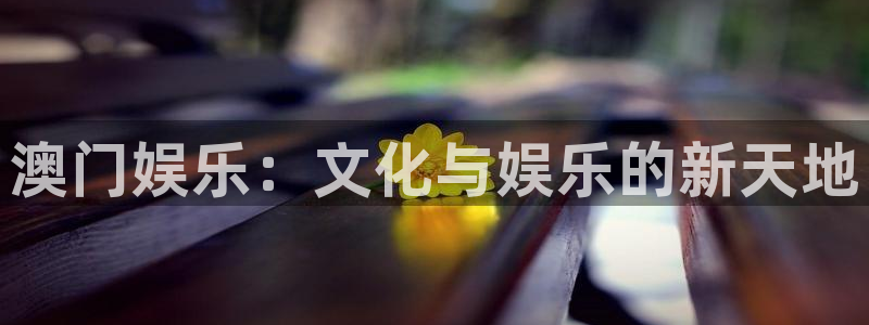 乐发iiv：澳门娱乐：文化与娱乐的新天地