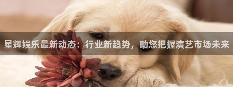 家庭乐发朋友圈