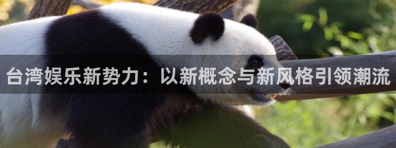 壹号官网app下载安装：台湾娱乐新势力：以新概念与新风格引领潮流