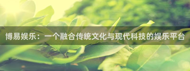 乐发ll500游戏试玩