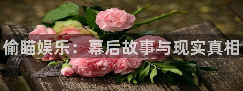 广东乐发精密科技有限公司：偷瞄娱乐：幕后故事与现实真相