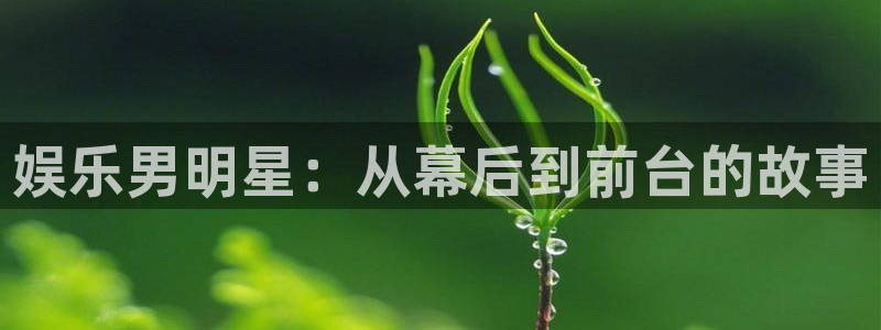 乐发ll500下载入口：娱乐男明星：从幕后到前台的故事