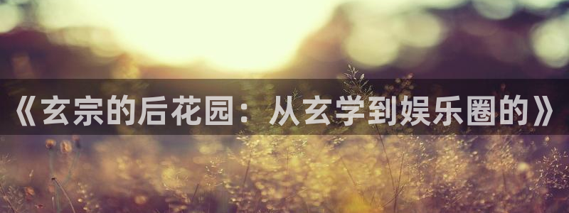 乐发食品：《玄宗的后花园：从玄学到娱乐圈的》