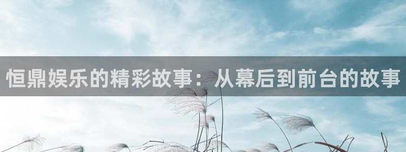 乐发app下载平台：恒鼎娱乐的精彩故事：从幕后到前台的故事