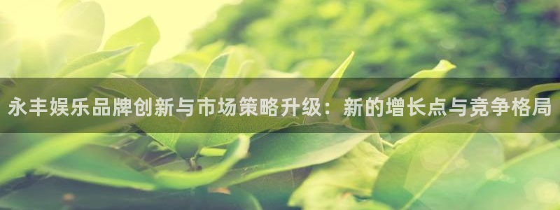 乐发ll500那个爆率高：永丰娱乐品牌创新与市场策略升级：新的增长点与竞争格局