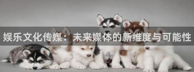 乐发ll500注册网站app：娱乐文化传媒：未来媒体的新维度与可能性