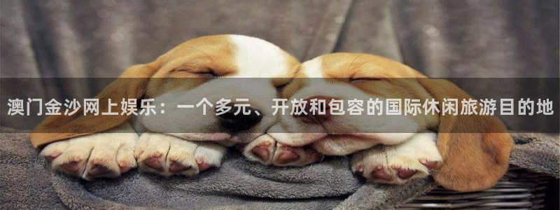 壹号电子娱乐app下载官网：澳门金沙网上娱乐：一个多元、开放和包容的国际休闲旅游目的地