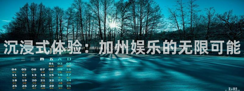 乐发ll500网站：沉浸式体验：加州娱乐的无限可能