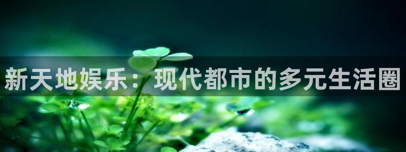 乐发ll500下载并安装：新天地娱乐：现代都市的多元生活圈