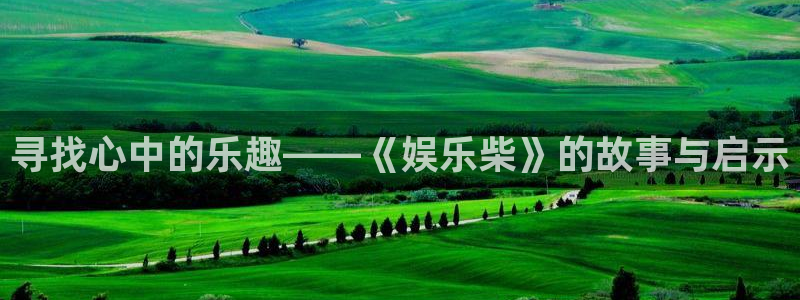 乐发ll500能退款吗：寻找心中的乐趣——《娱乐柴》的故事与启示