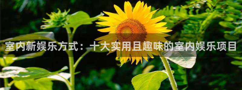 壹号官网app下载安装：室内新娱乐方式：十大实用且趣味的室内娱乐项目