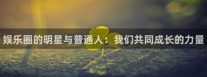 乐发下载安装：娱乐圈的明星与普通人：我们共同成长的力量