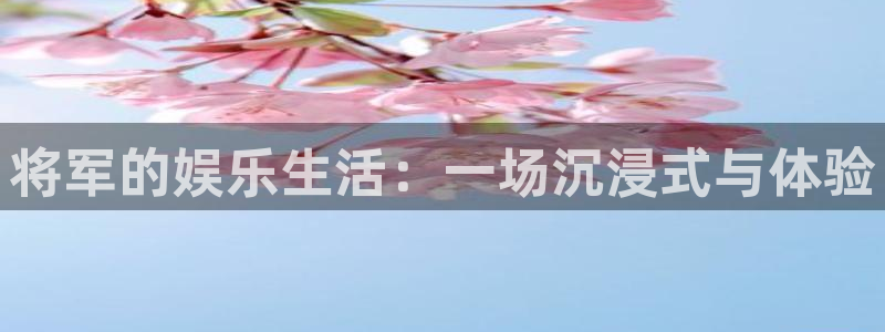 乐发welcome：将军的娱乐生活：一场沉浸式与体验