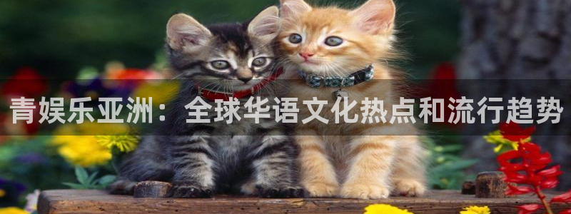 乐发ll500下载入口：青娱乐亚洲：全球华语文化热点和流行趋势
