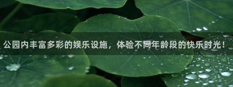 乐发ll500网站