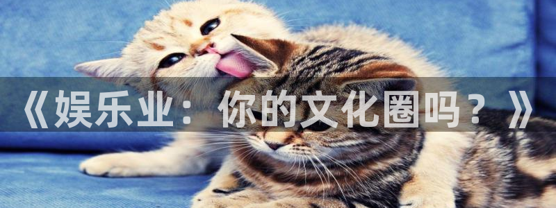 乐发ll500官网下载