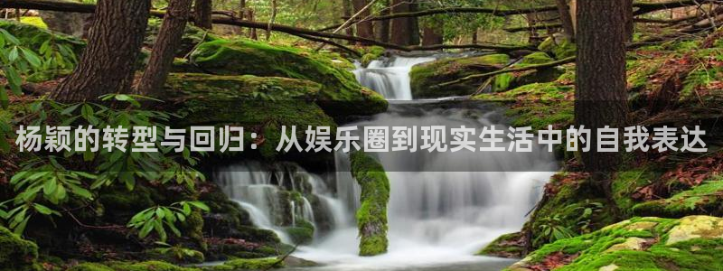 乐发ll500：杨颖的转型与回归：从娱乐圈到现实生活中的自我表达