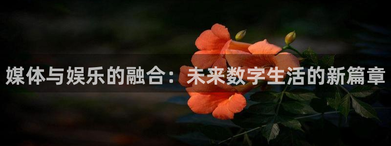 乐发iiv：媒体与娱乐的融合：未来数字生活的新篇章