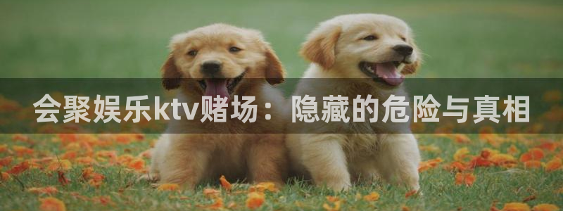 壹号大舞台下载链接：会聚娱乐ktv赌场：隐藏的危险与真相