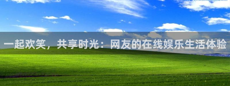 乐发食品：一起欢笑，共享时光：网友的在线娱乐生活体验