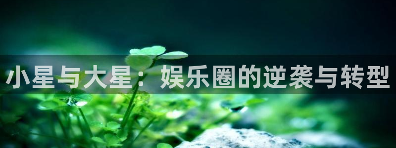 壹号平台下载安装：小星与大星：娱乐圈的逆袭与转型