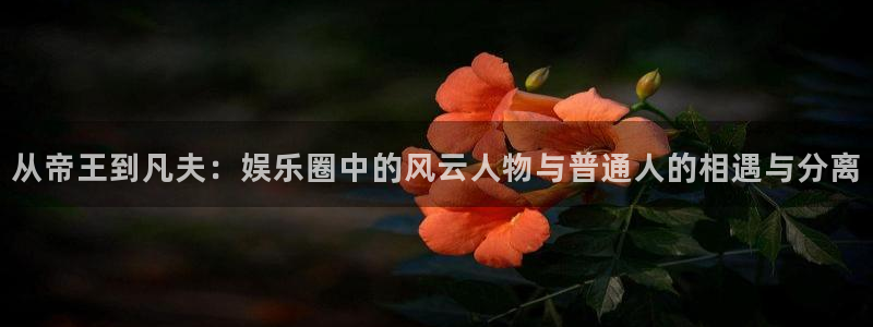 乐发ll500 - ng大舞台,有梦你就来：从帝王到凡夫：娱乐圈中的风云人物与普通人的相遇与分离