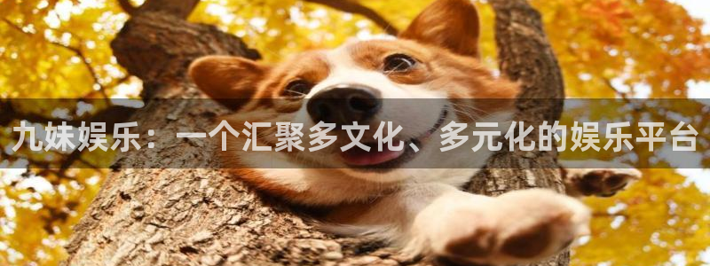 乐发ll500.ccm苹果版：九妹娱乐：一个汇聚多文化、多元化的娱乐平台