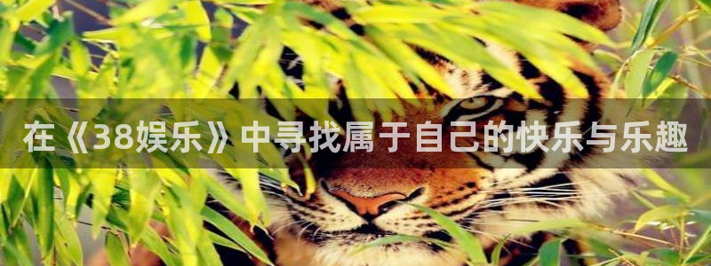 乐发榨油机：在《38娱乐》中寻找属于自己的快乐与乐趣